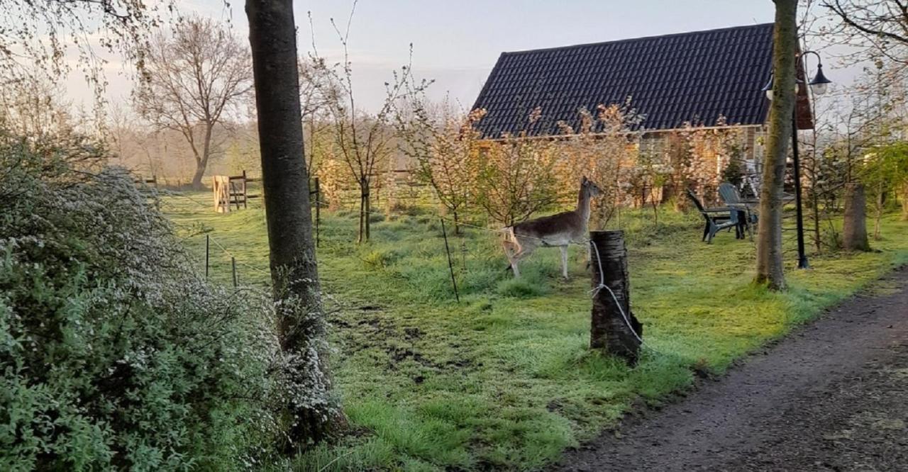 B&B Landgoed Sonneborghe Kollumerzwaag Bagian luar foto