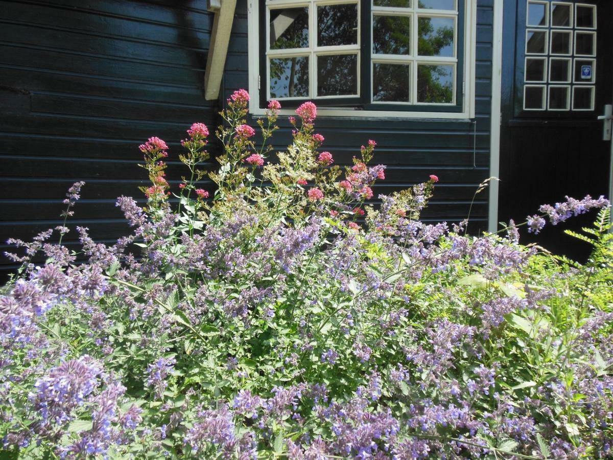 B&B Landgoed Sonneborghe Kollumerzwaag Bagian luar foto