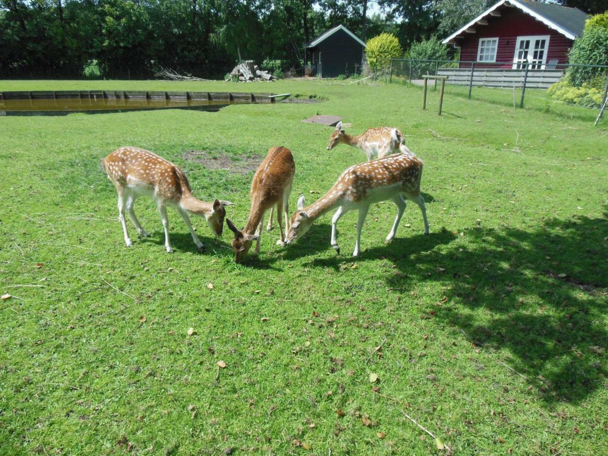 B&B Landgoed Sonneborghe Kollumerzwaag Bagian luar foto